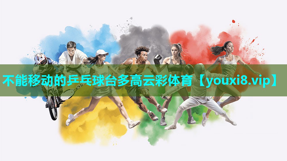 不能移动的乒乓球台多高云彩体育