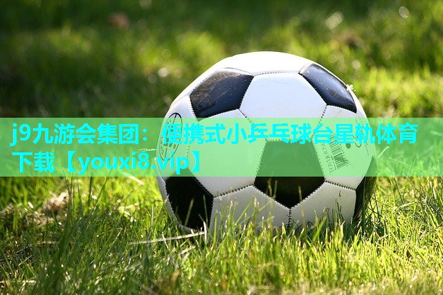 j9九游会集团：便携式小乒乓球台星轨体育下载