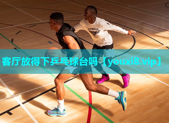 客厅放得下乒乓球台吗