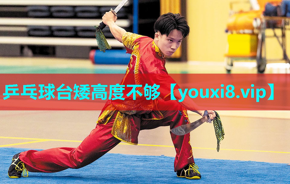 乒乓球台矮高度不够